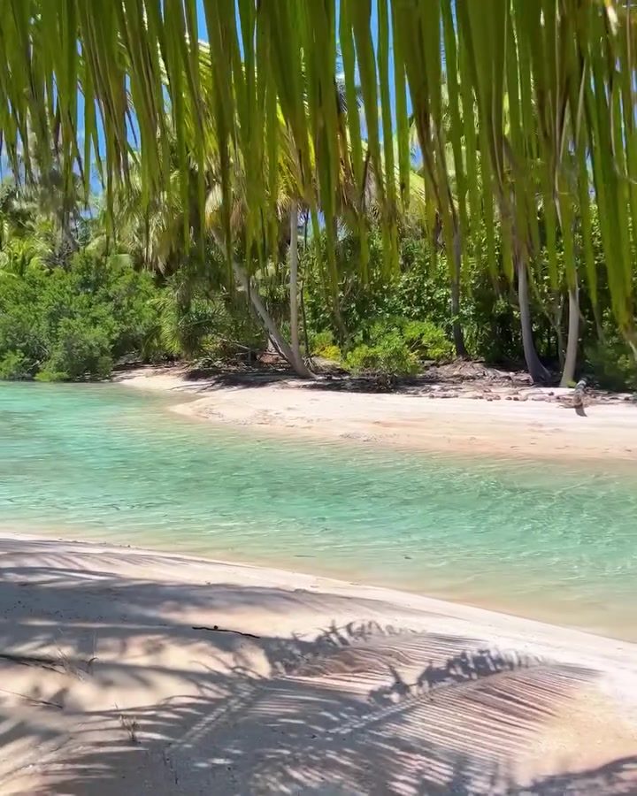 Diving into Paradise: Exploring Fakarava Atoll in French Polynesia