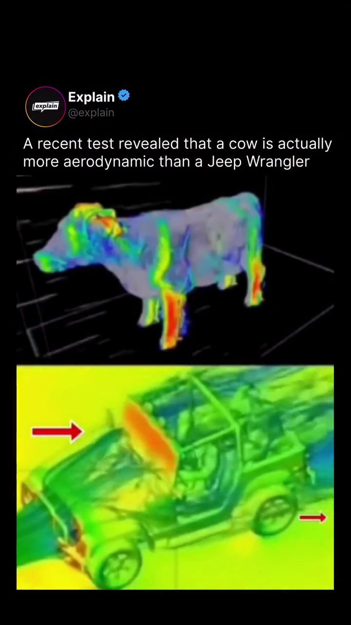 Why a Cow is More Aerodynamic than a Jeep