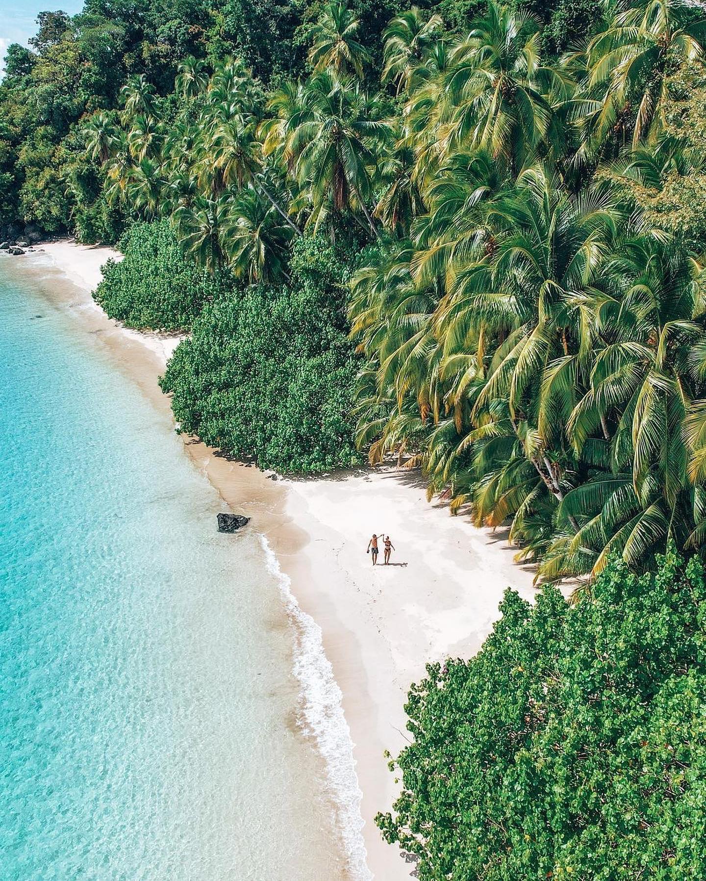 Tropical Beach Aerial Video