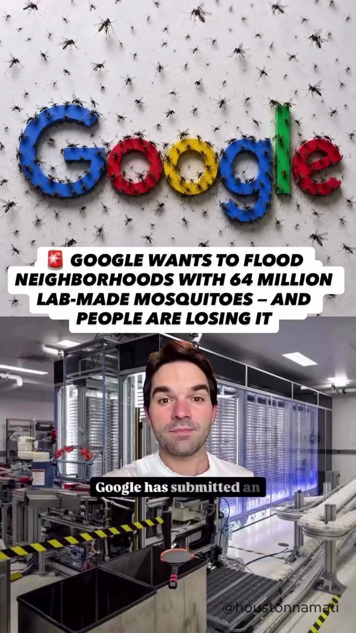 Google's Mosquito Release Plan: 64 Million Lab-Made Bugs