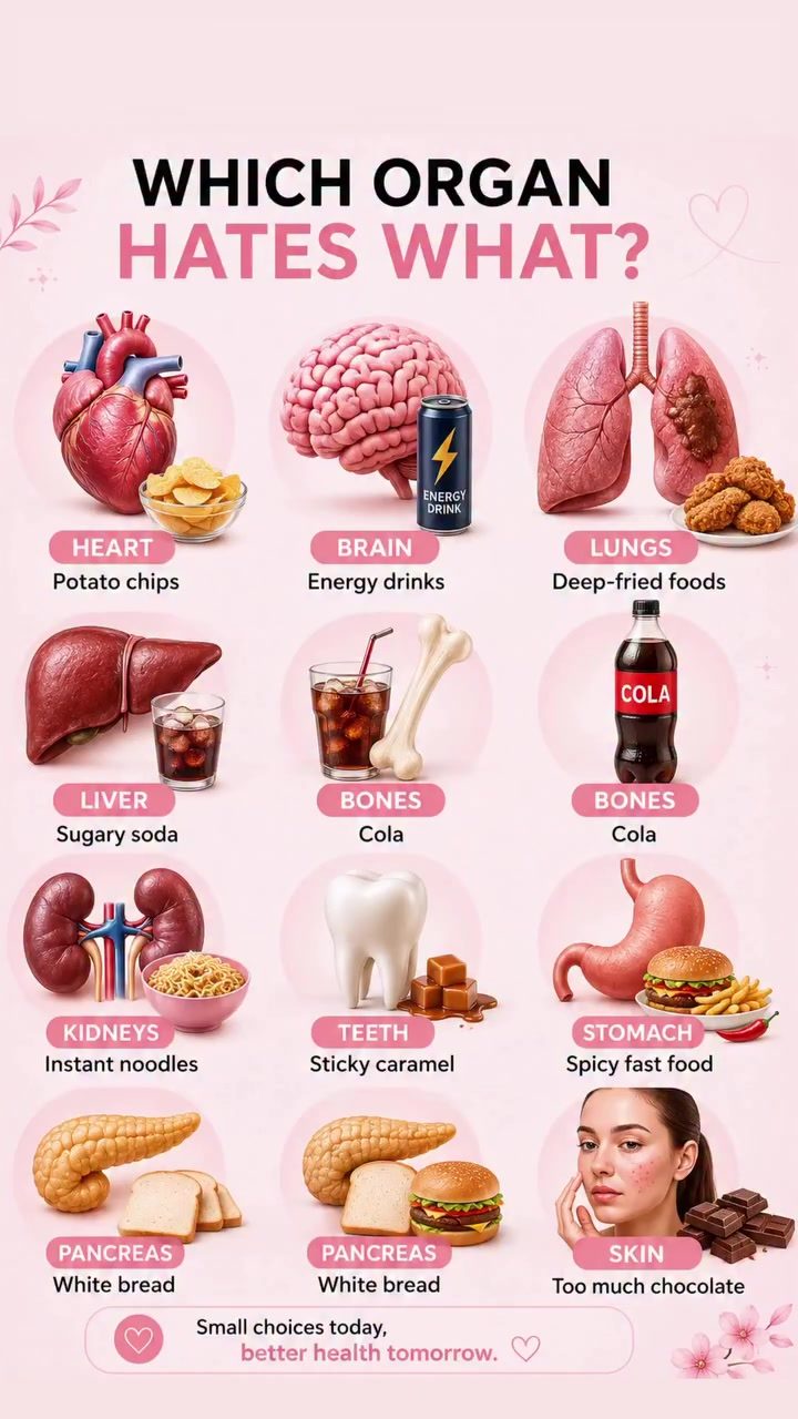 What Foods Harm Your Organs?