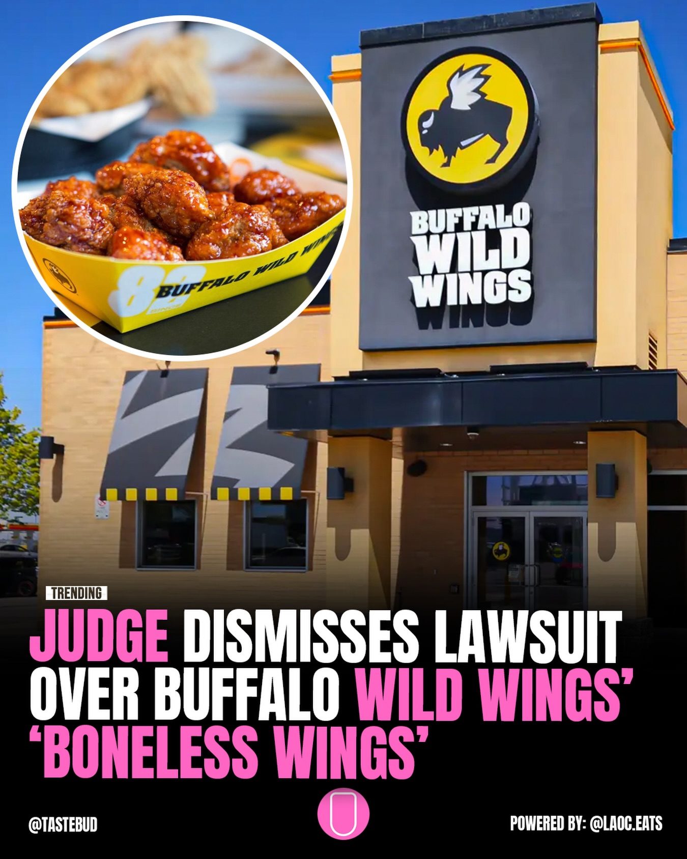 Buffalo Wild Wings Boneless Wings Lawsuit Dismissed