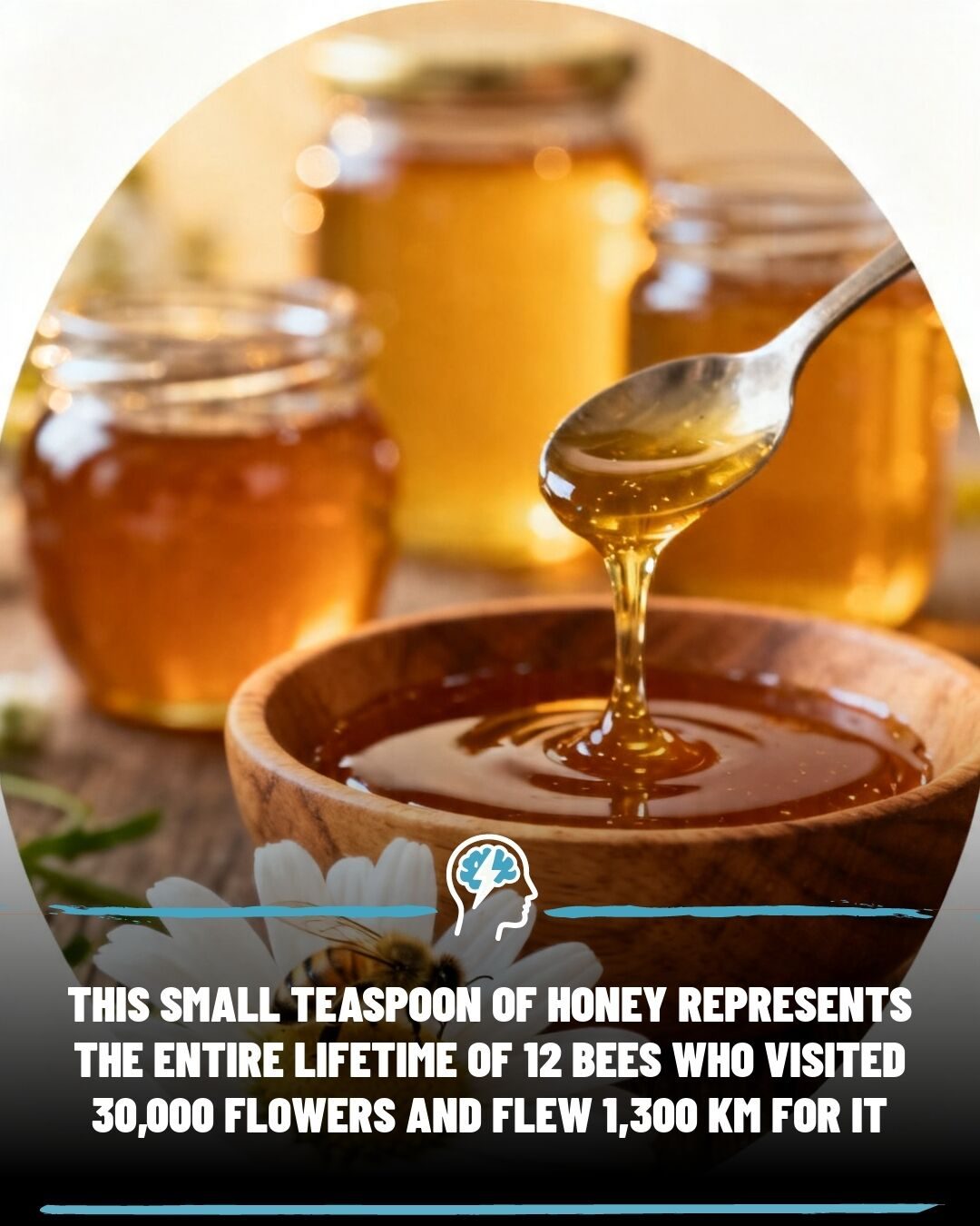 The Power of Honey: Bees' Lifelong Work in Each Teaspoon