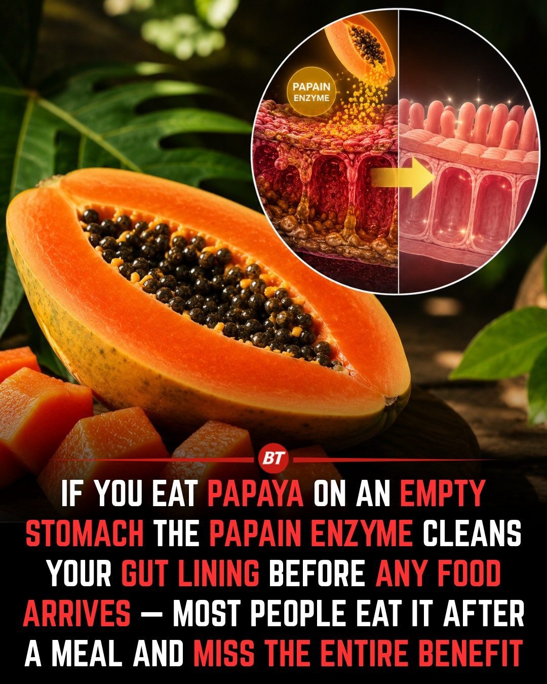 Papaya's Papain Enzyme for Gut Cleansing Before Meals