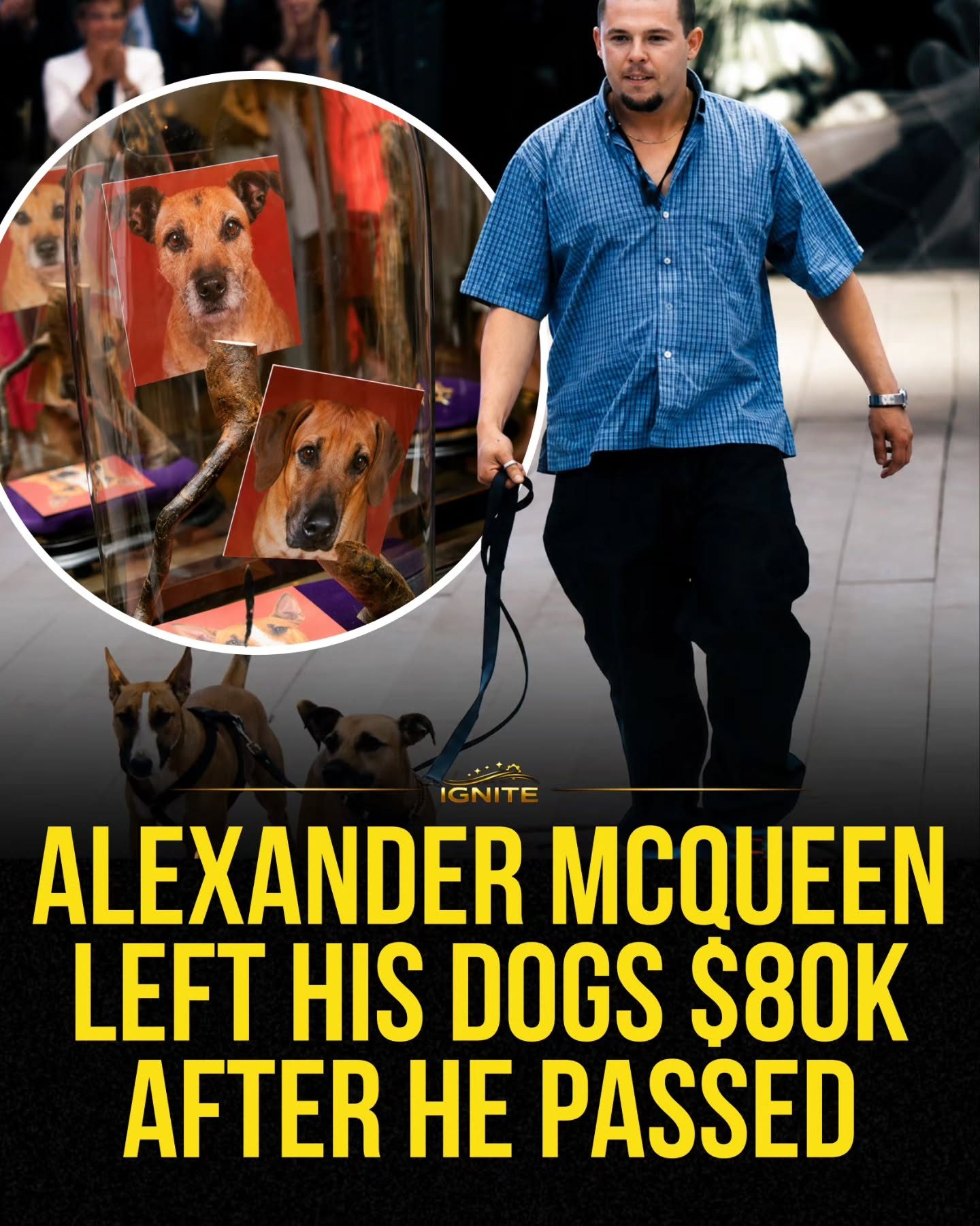 Alexander McQueen's Surprising Inheritance for His Dogs