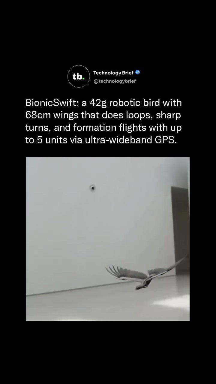 Exploring Festo's BionicSwift Robotic Bird Capabilities