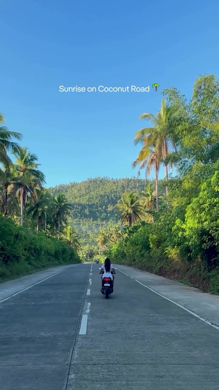 Experience Golden Hour on Siargao's Coconut Road
