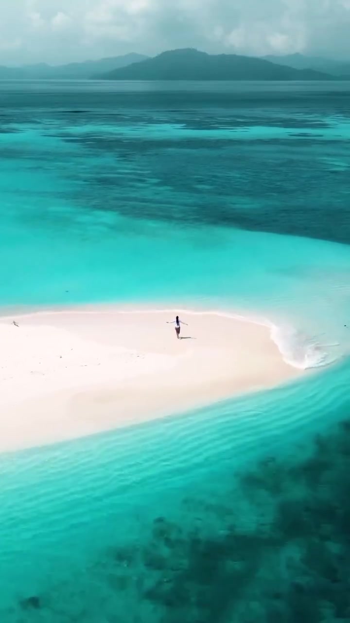 Aerial View of Tropical Beach Paradise