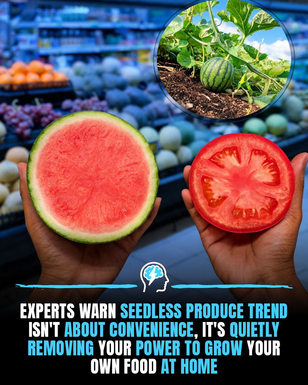 The Hidden Cost of Seedless Produce: Impact on Food Autonomy