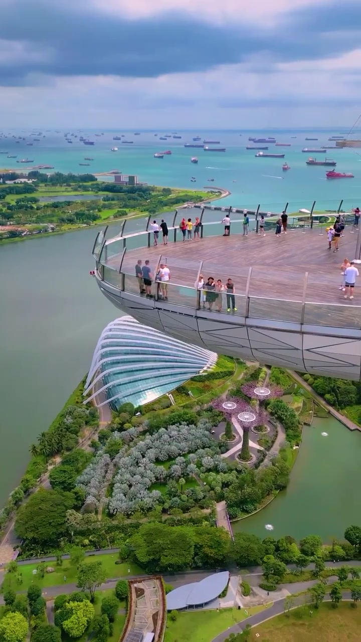 Aerial View of Singapore Gardens and Skyline