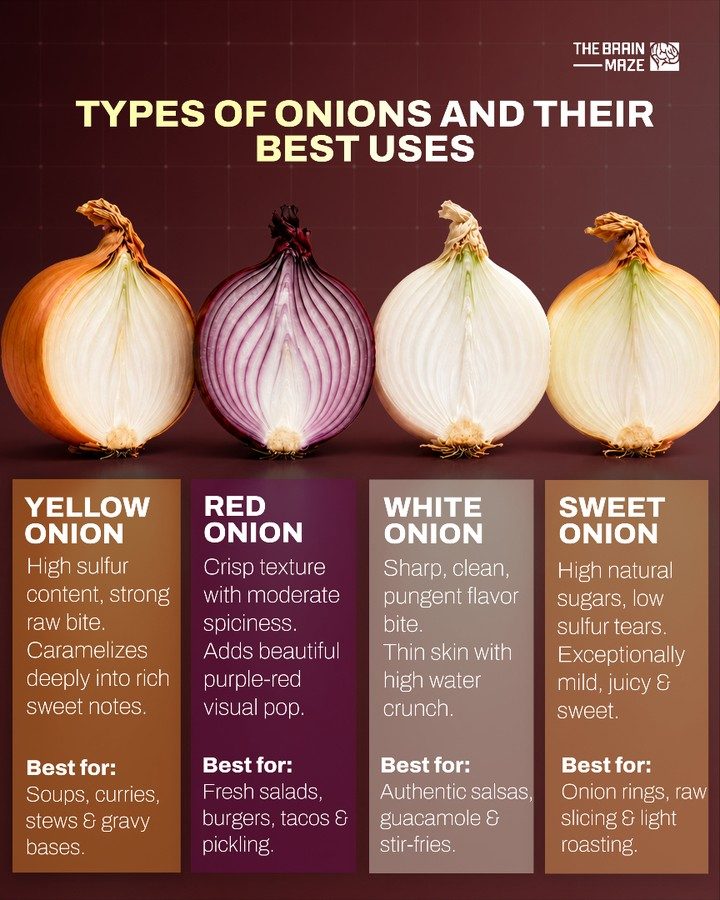 Discover Onion Types and Their Best Uses