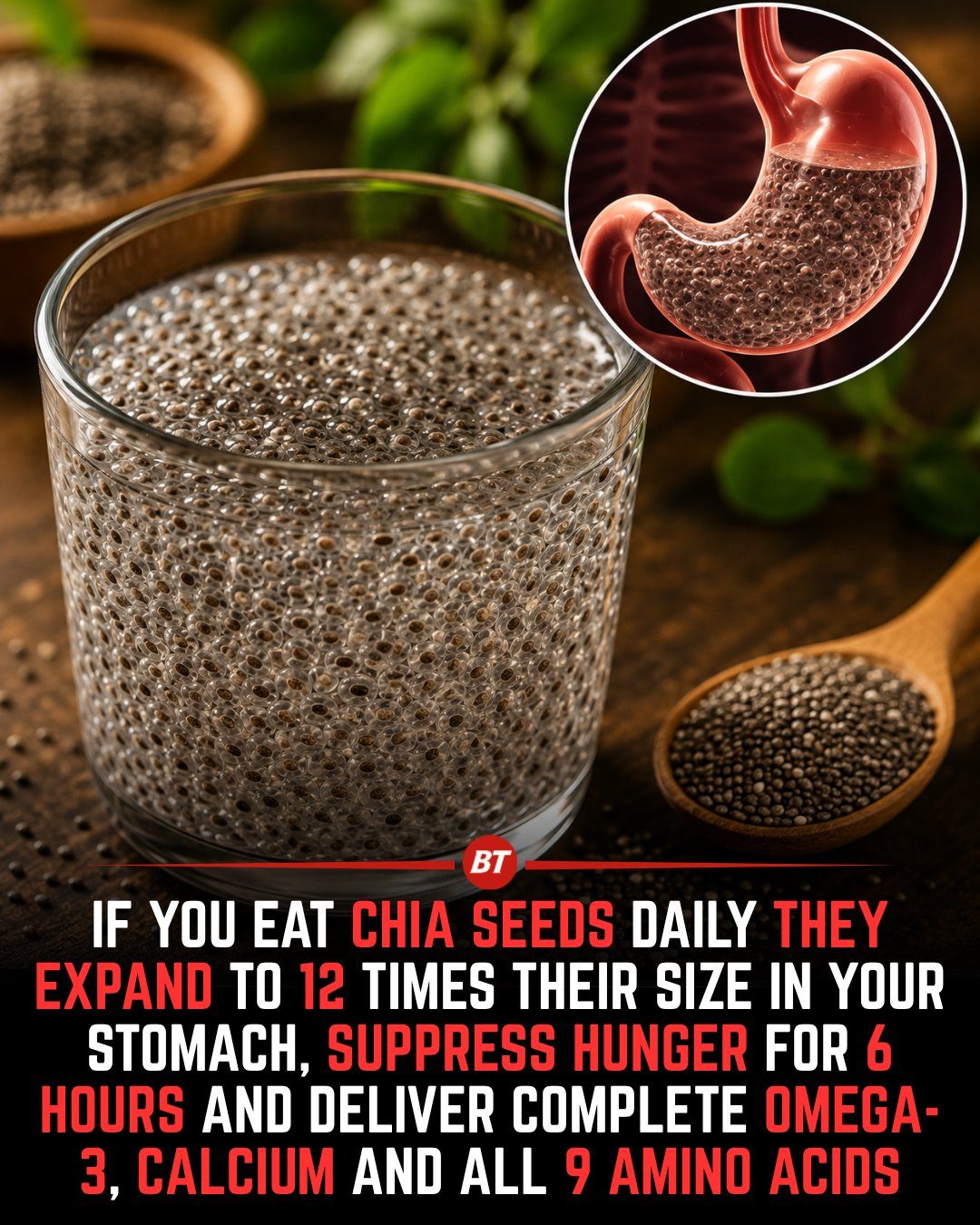Chia Seeds' Health Benefits: Fullness, Omega-3s, and More