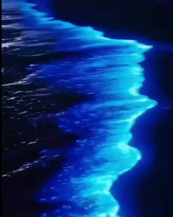 Bioluminescence in Ocean Waves at Night