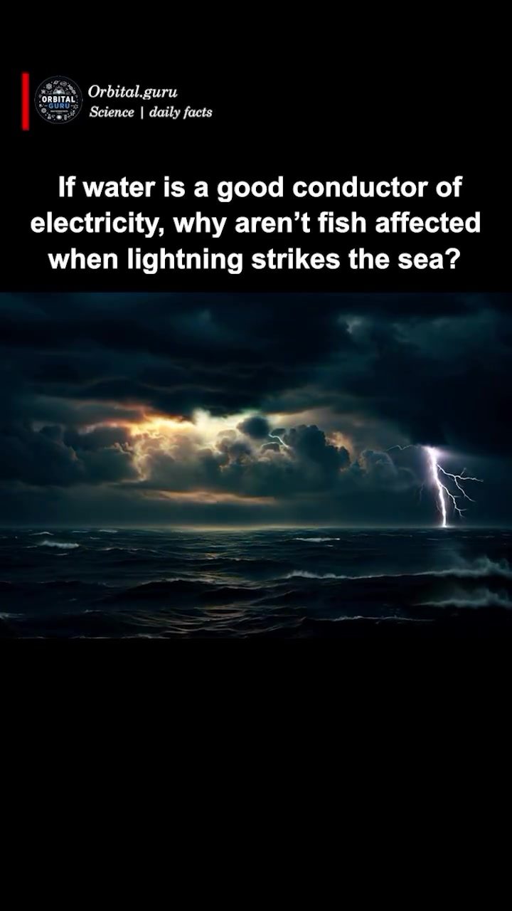 Why Fish Aren't Harmed by Lightning Strikes at Sea