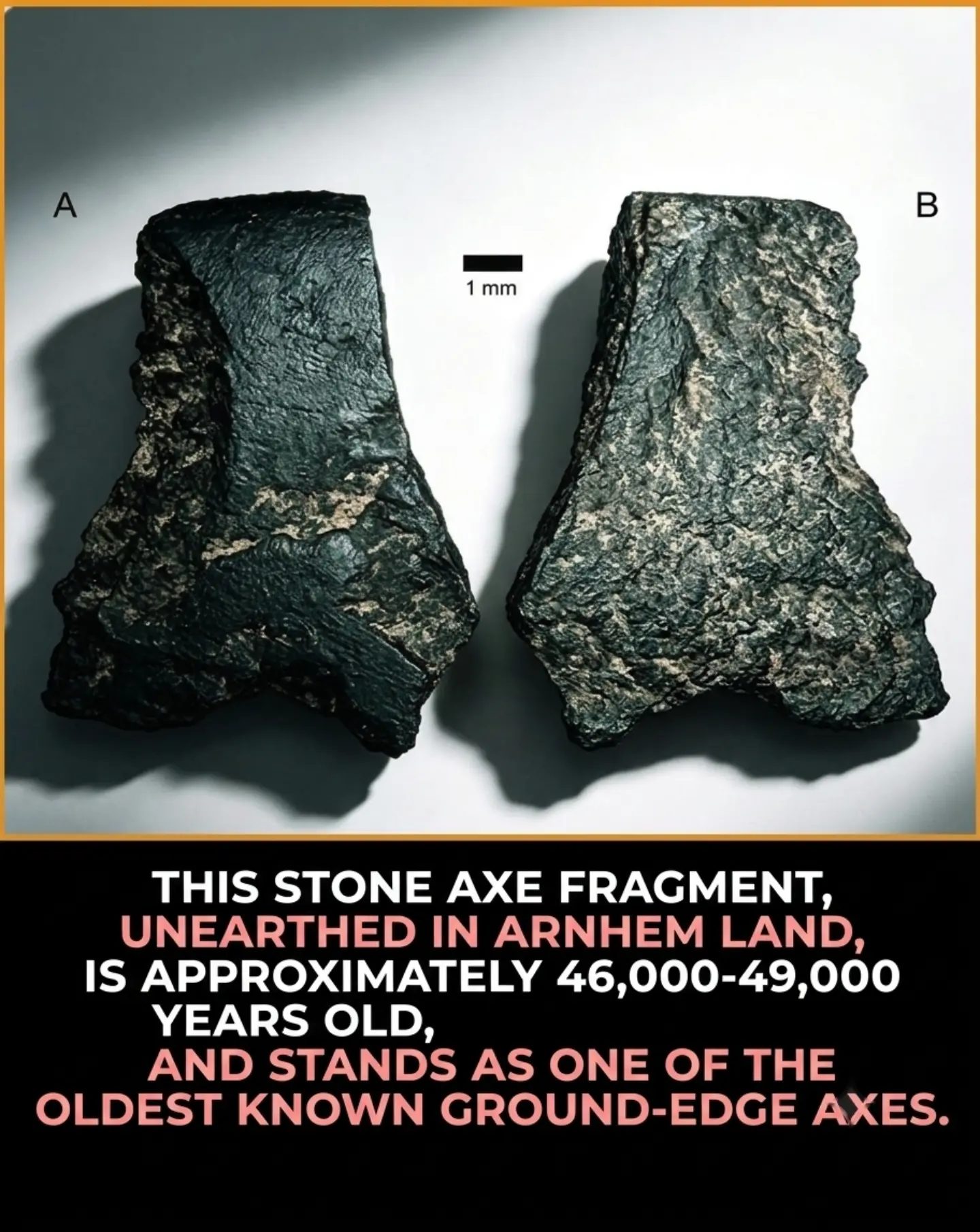 Ancient Axes: Australia's 46,000-Year-Old Ingenuity