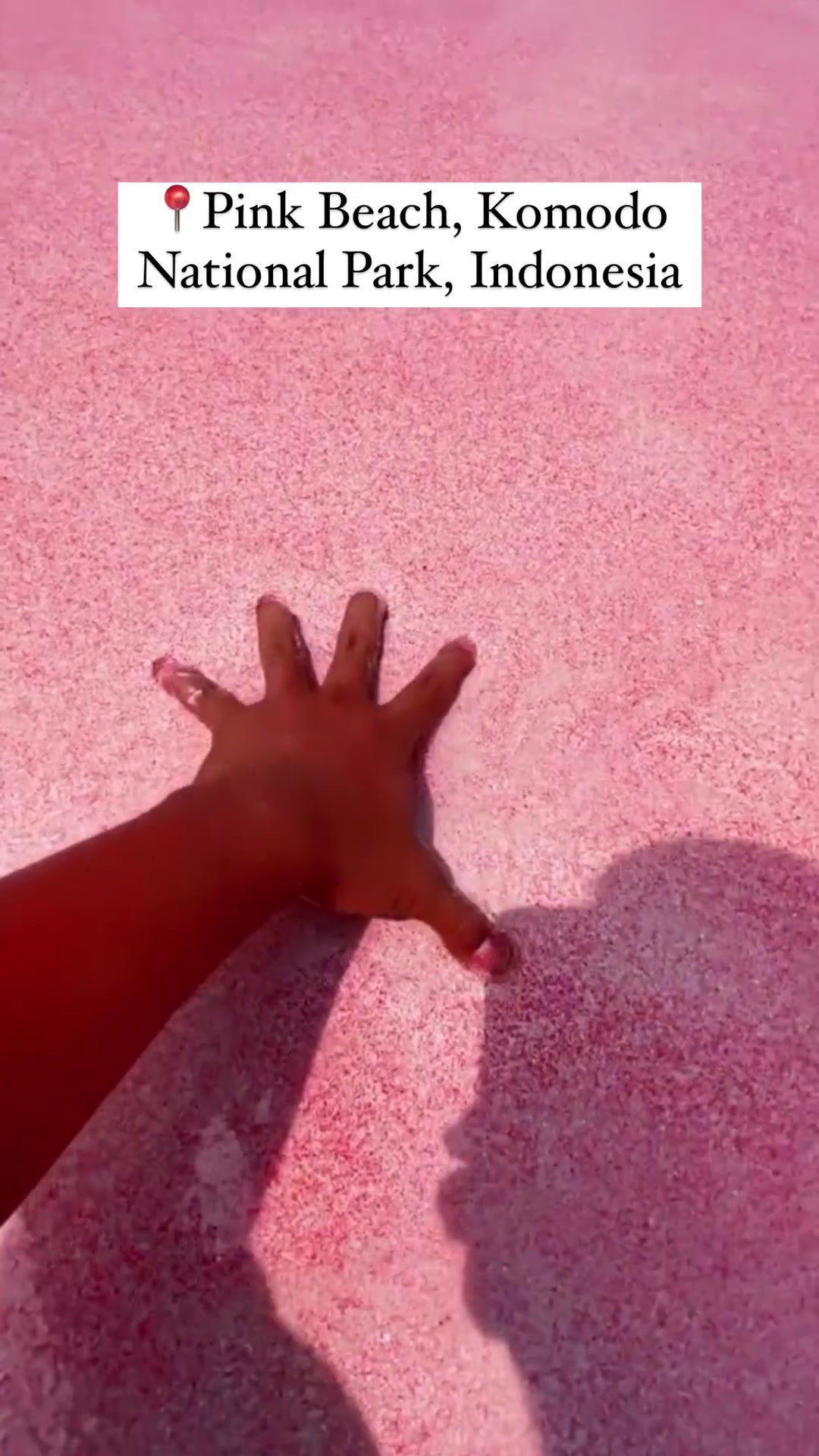 Discover the Magic of Pink Beach in Komodo National Park