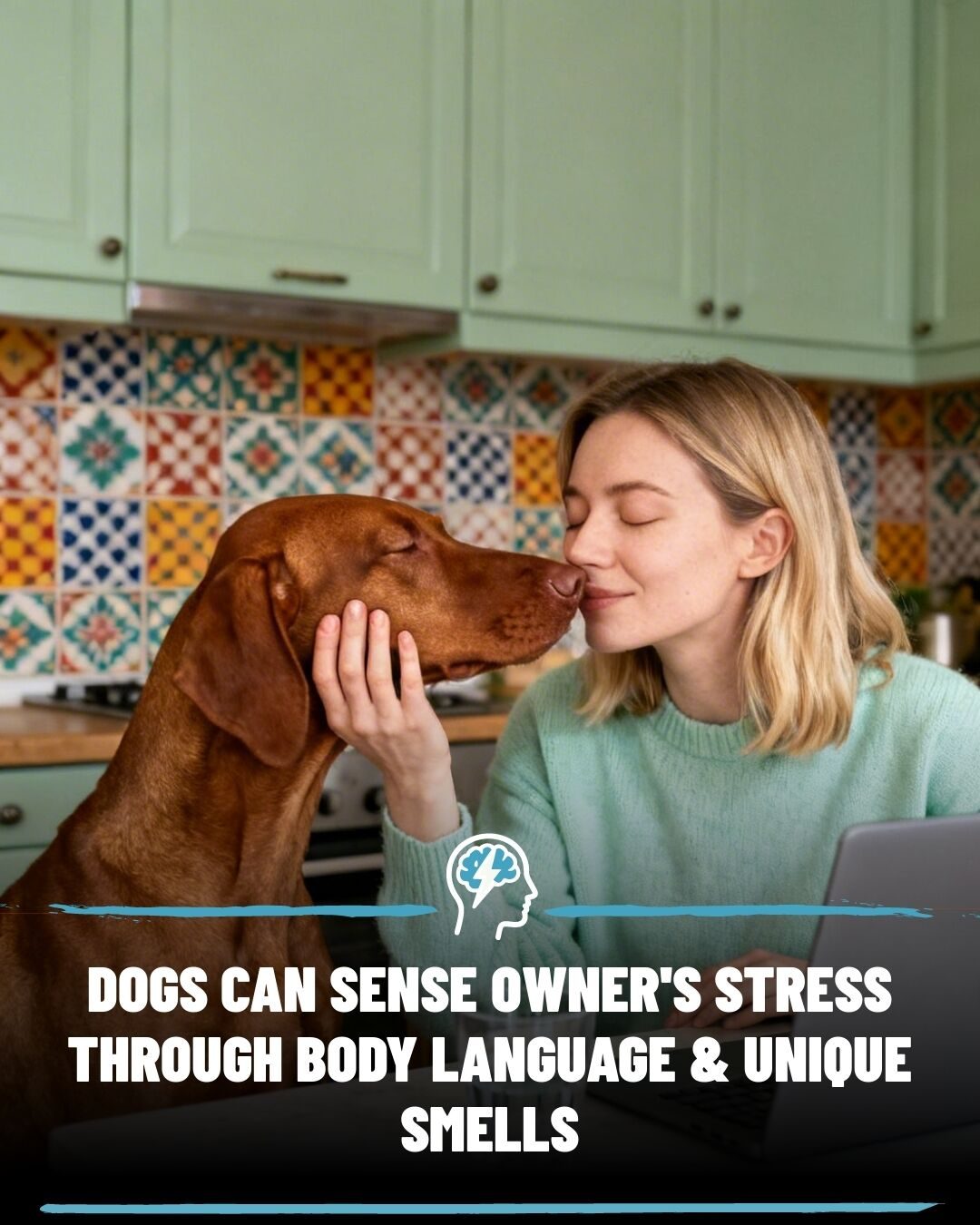 How Dogs Detect Human Stress Through Scent and Body Language