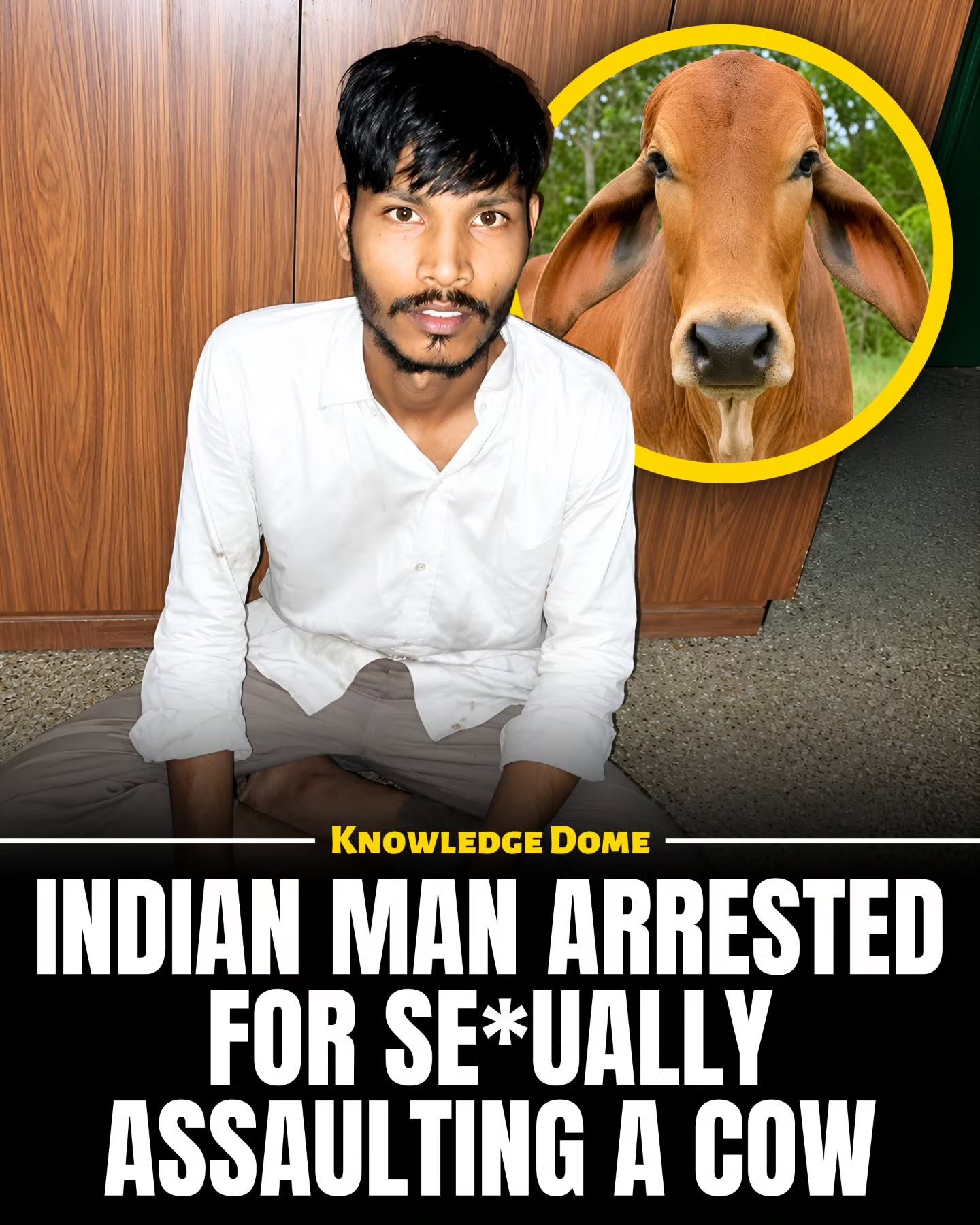 Man Arrested for Assaulting Cow in Bengaluru