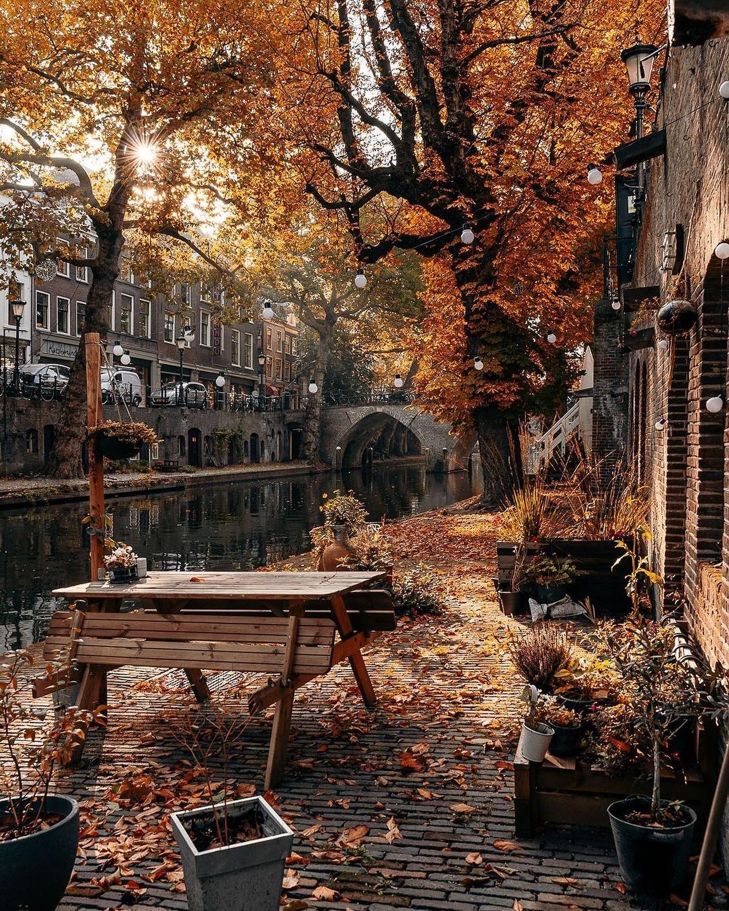 Autumn Canal Scene: Serene Fall Foliage and Brick Architecture