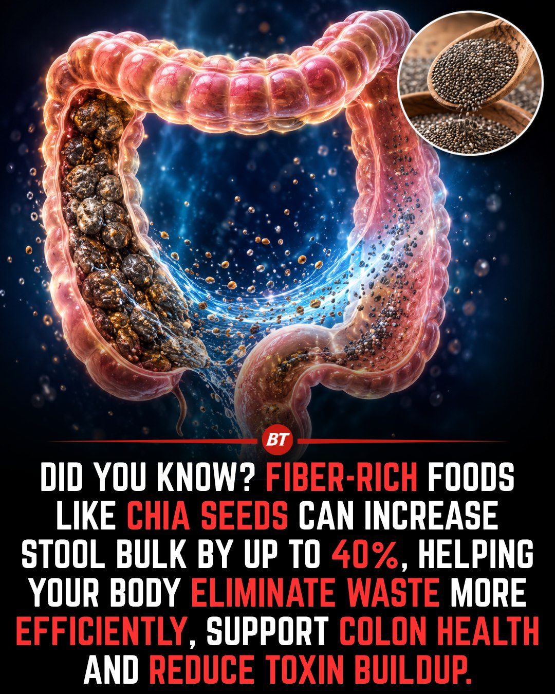 Boost Colon Health with Fiber-Rich Chia Seeds