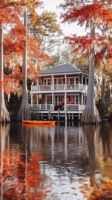 Explore Autumn in Louisiana: Caddo Lake's Scenic Views