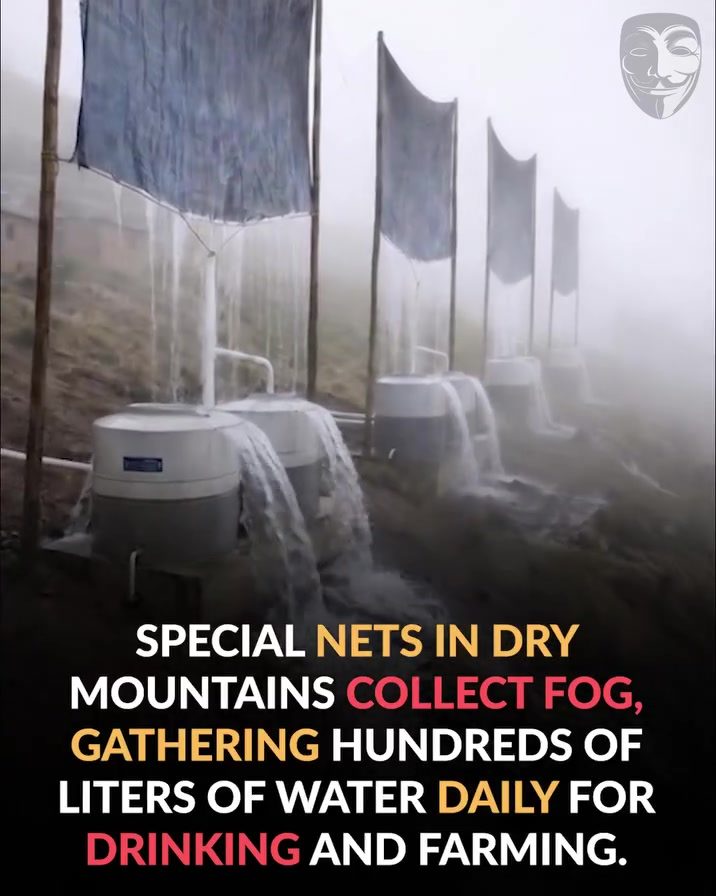 Fog Nets: Harvesting Water from Thin Air in Dry Mountains