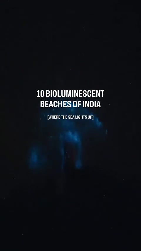 ### Top 10 Bioluminescent Beaches in India