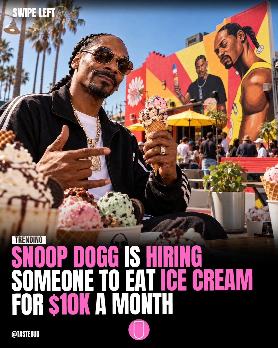 Snoop Dogg Ice Cream Taster Job: $10,000 a Month