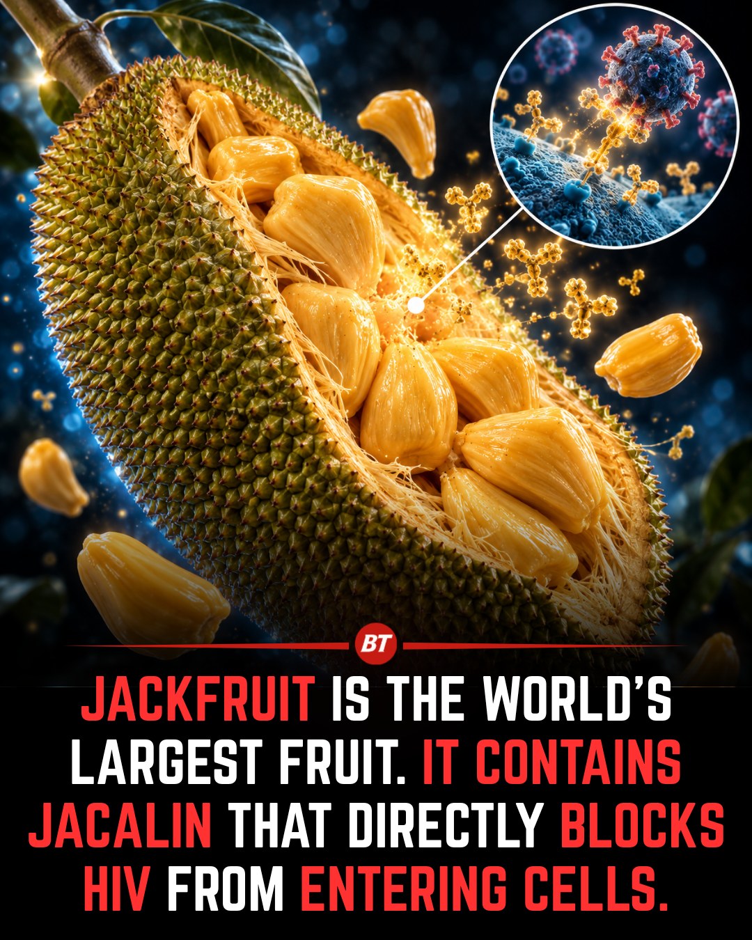 Durian Fruit: HIV Blocking Benefits