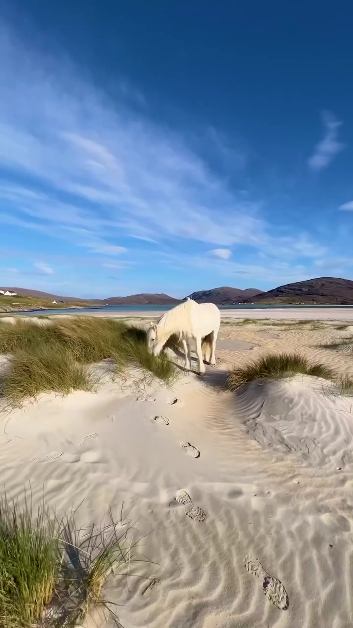 Scotland's Coastal Landscapes: Turquoise Water and White Sand