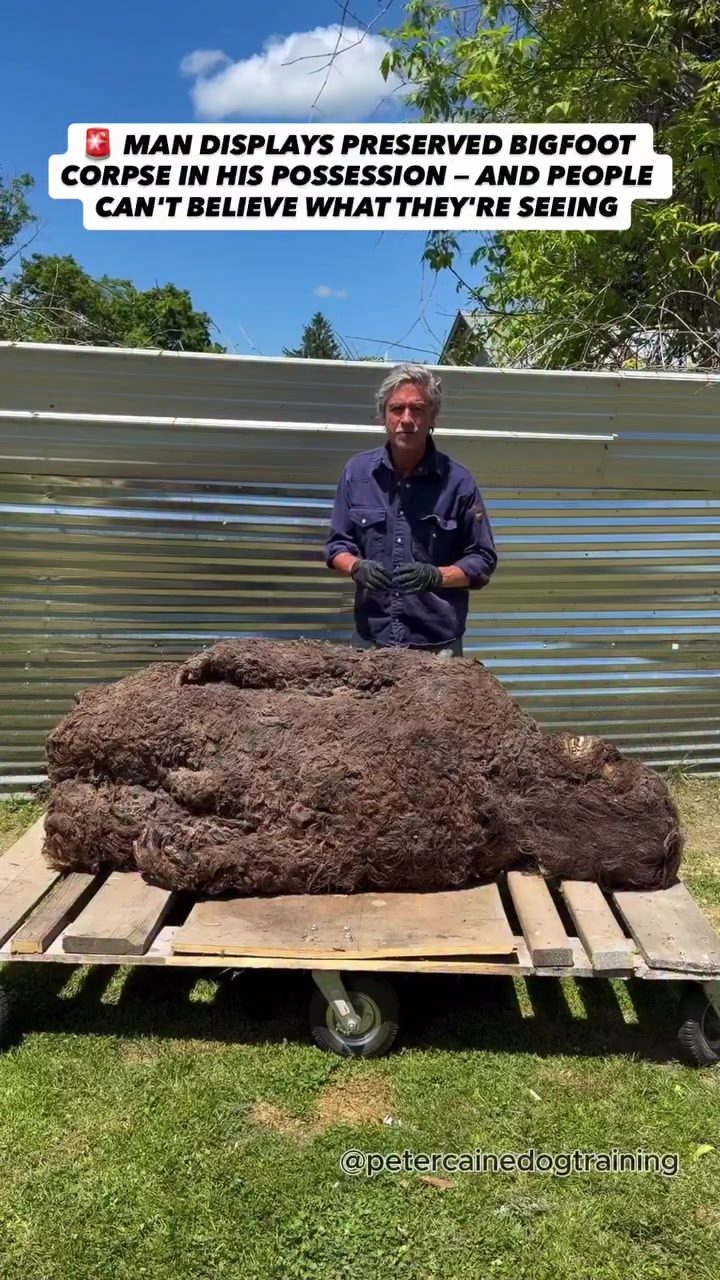 Bigfoot Corpse Display: Man Claims Creature is Interdimensional
