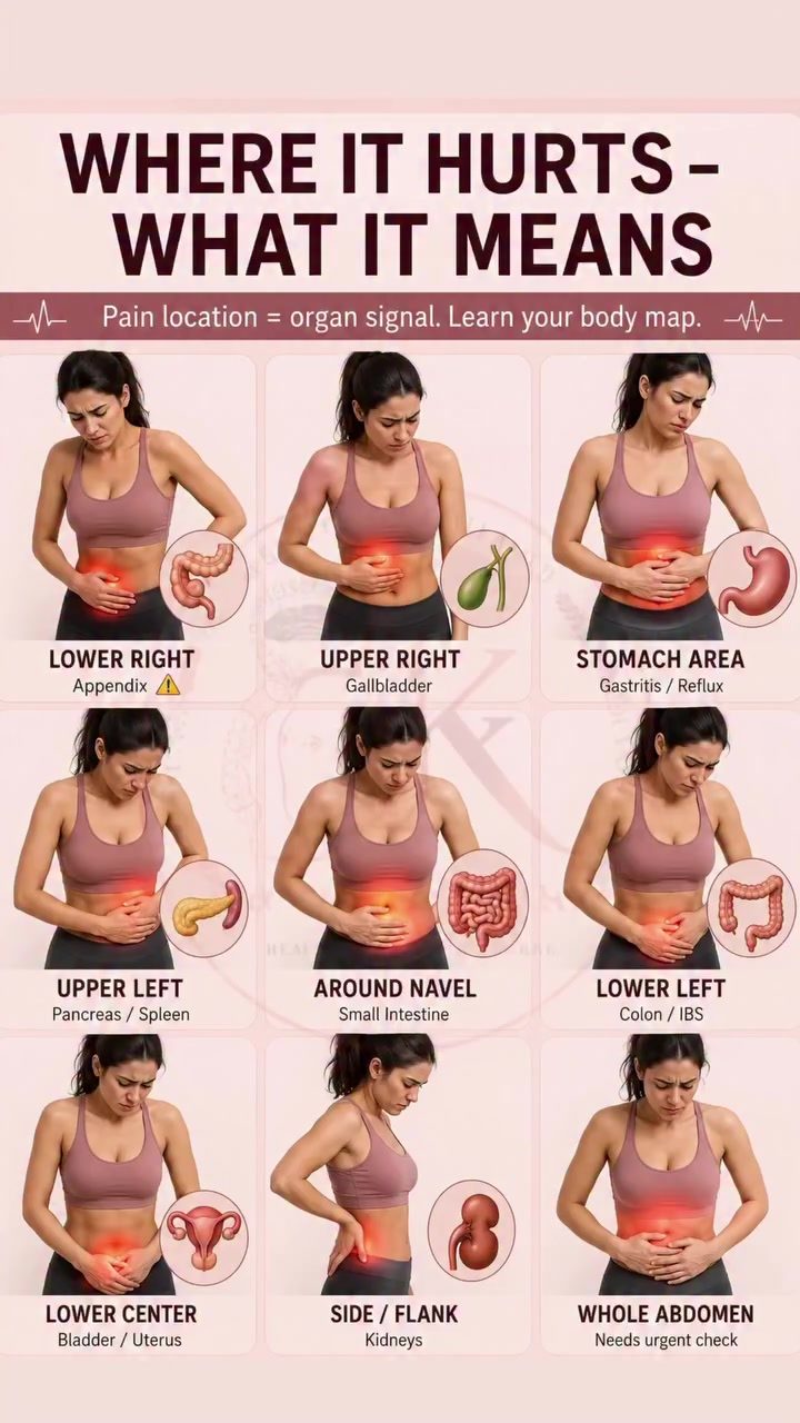 Understanding Abdominal Pain: Where It Hurts and What It Means