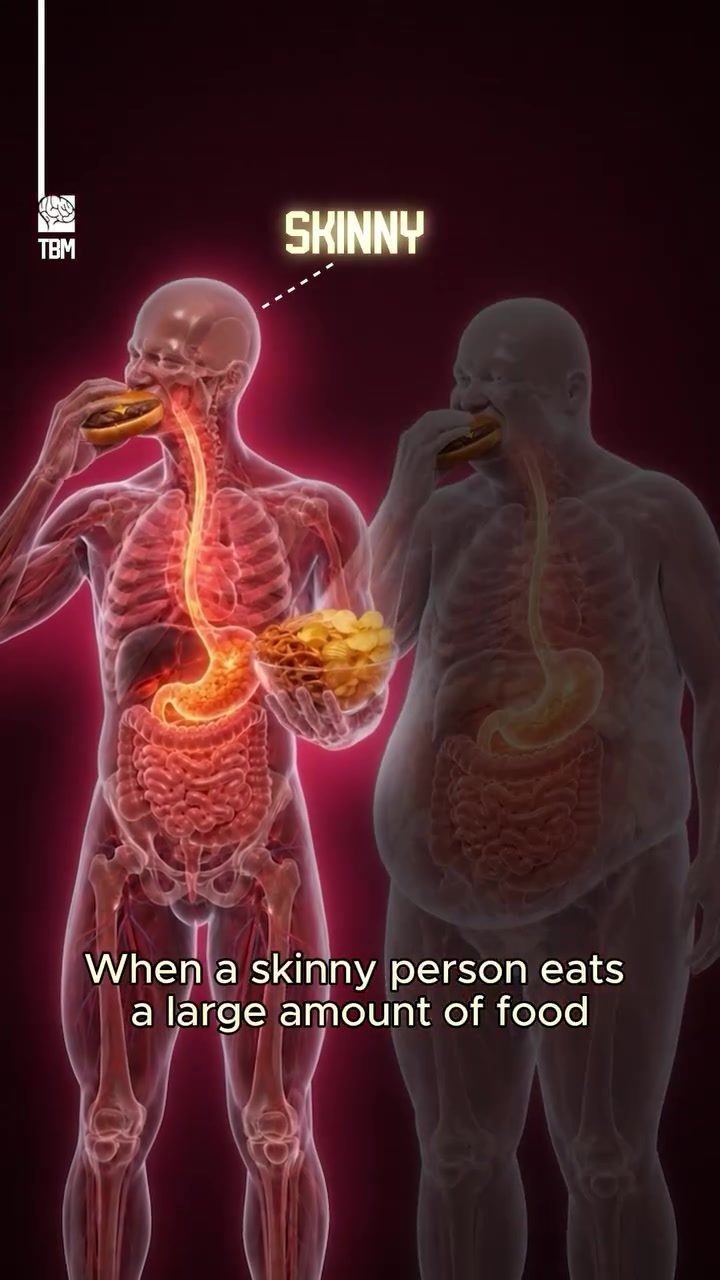Why Lean People Burn More Calories Naturally