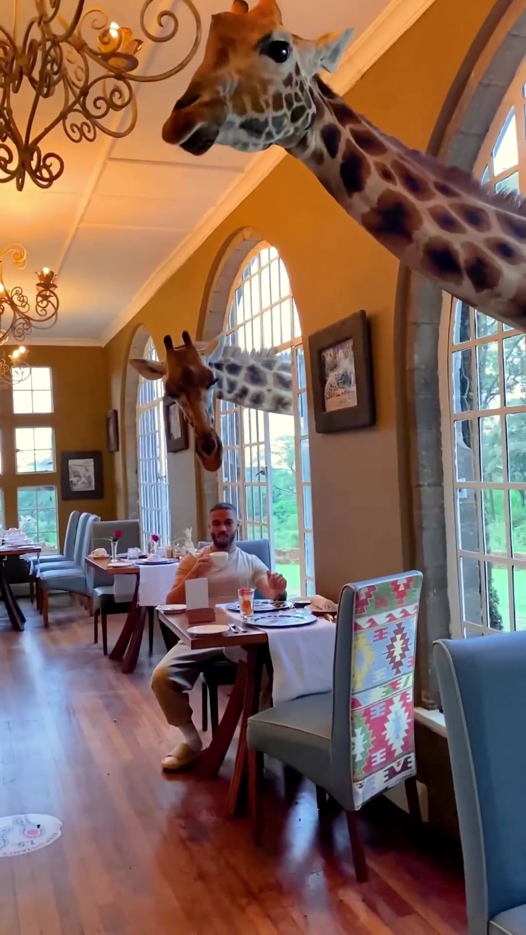Giraffe Manor Breakfast: Kenya's Unique Dining Experience