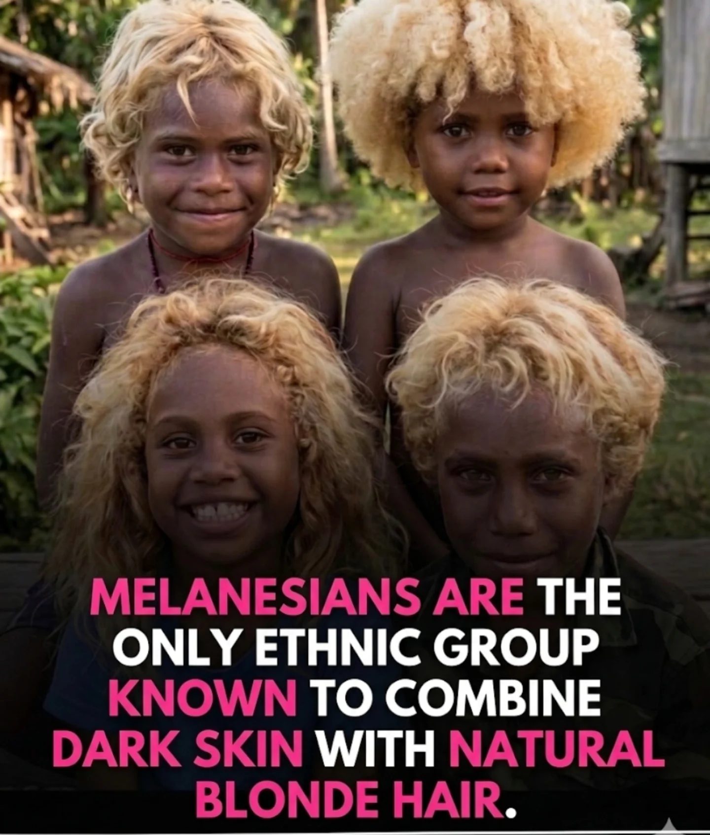 Melanesians: Unique Ethnic Group with Dark Skin and Blonde Hair