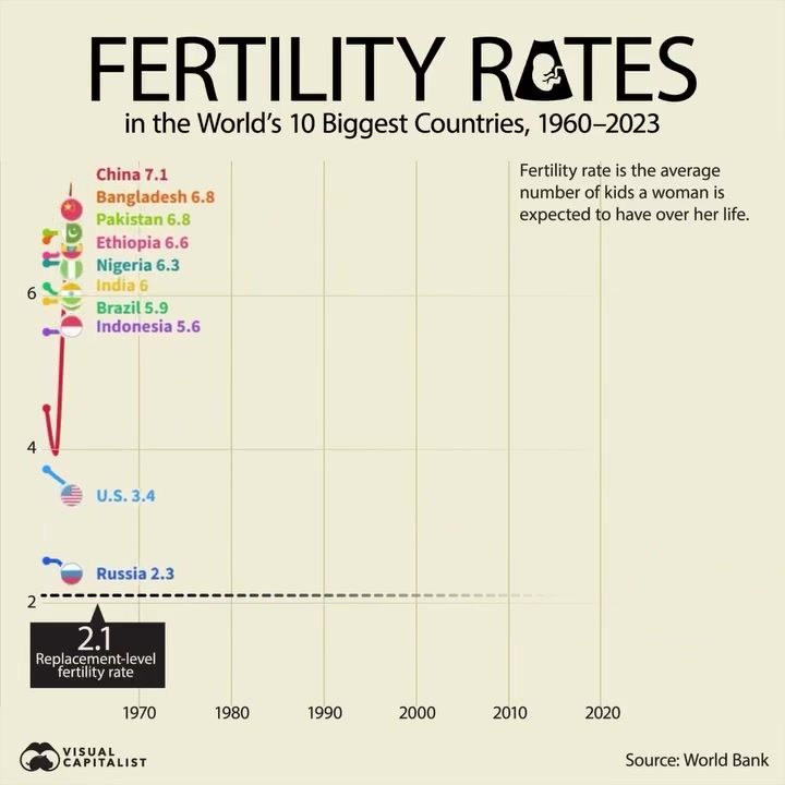 Fertility Trends in the World's Largest Countries