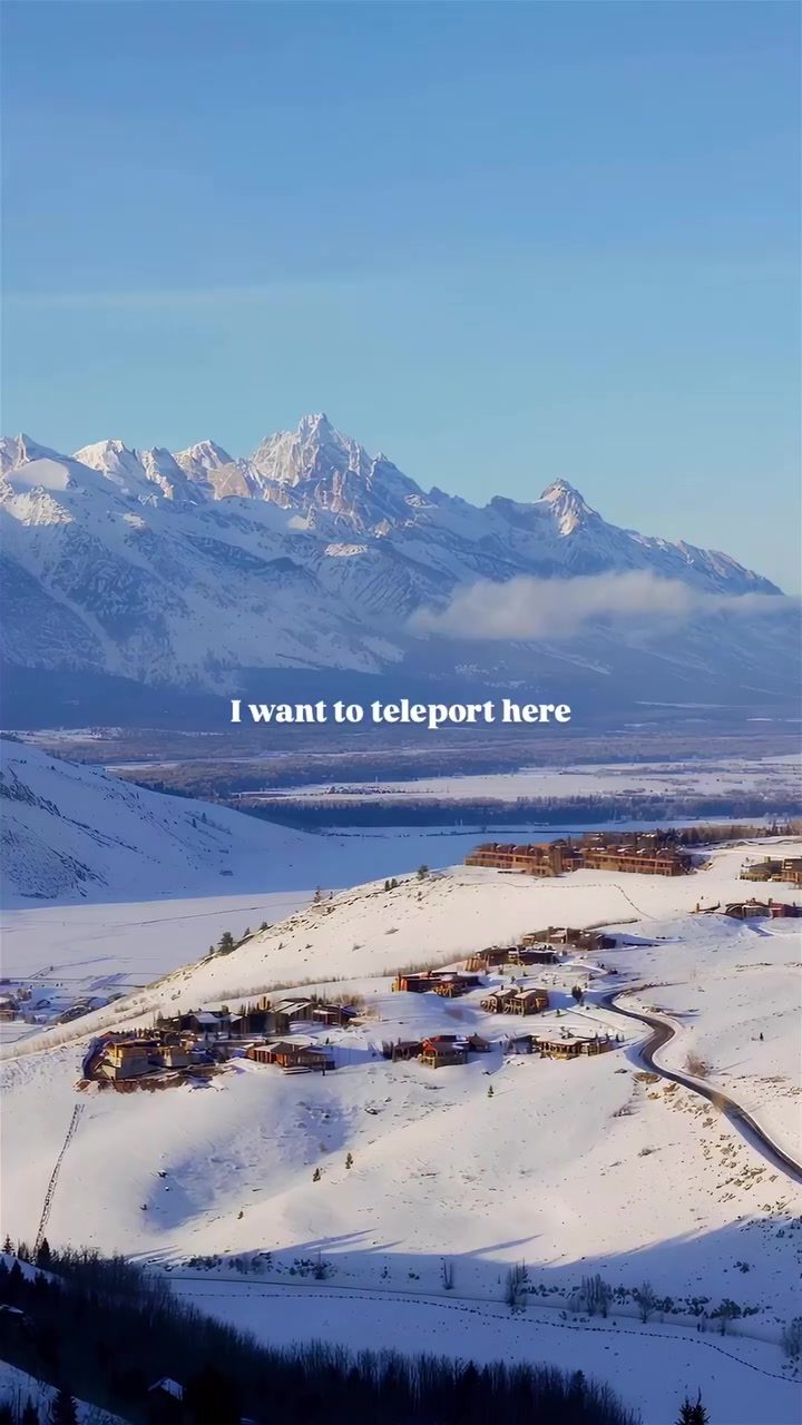 Explore Tranquil Winter Scenes with Elk and Mountains