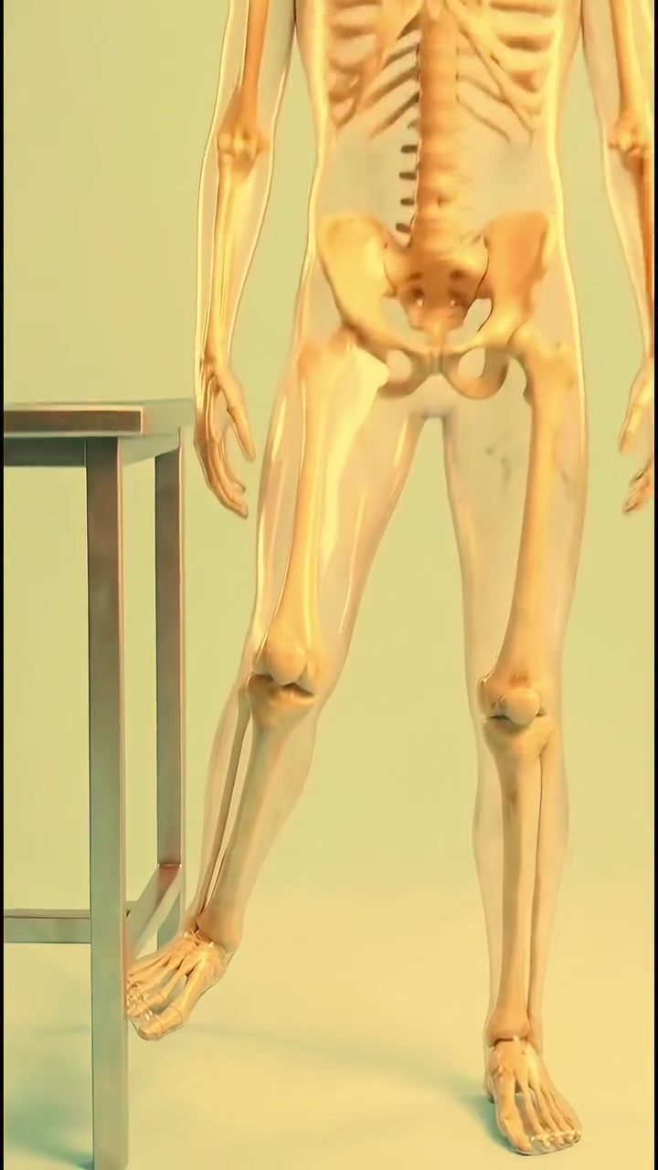 Exploring Pain Levels with a Human 3D Anatomy Model