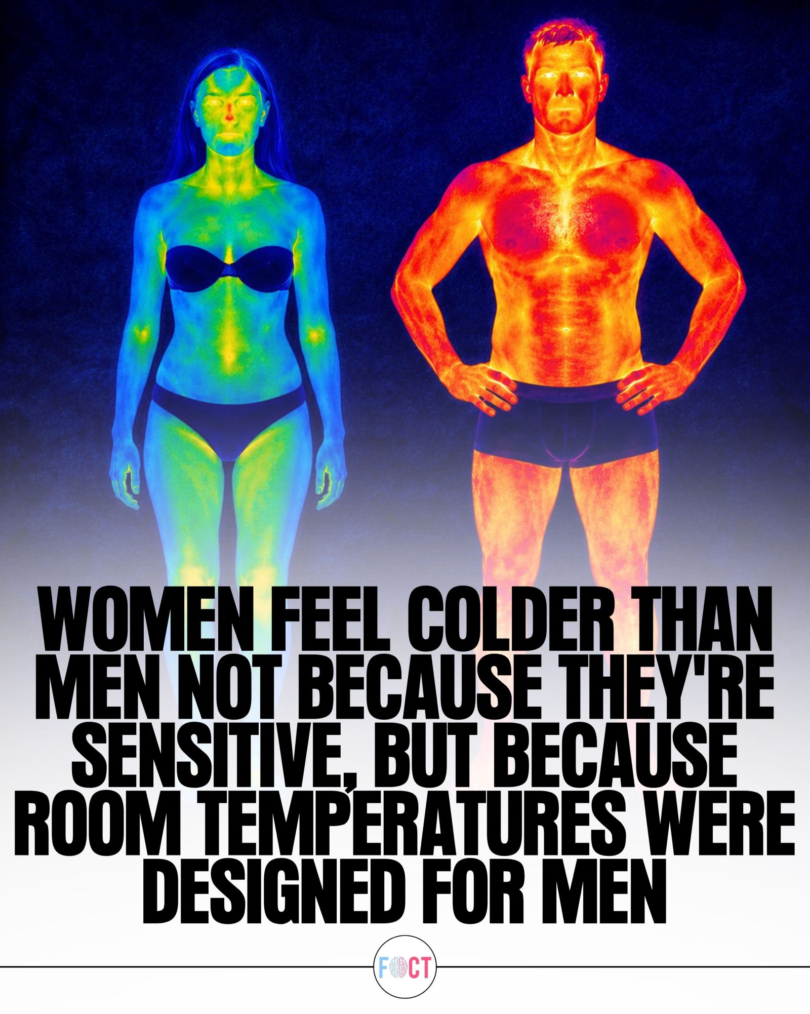 Why Women Feel Colder: The Science of Room Temperature
