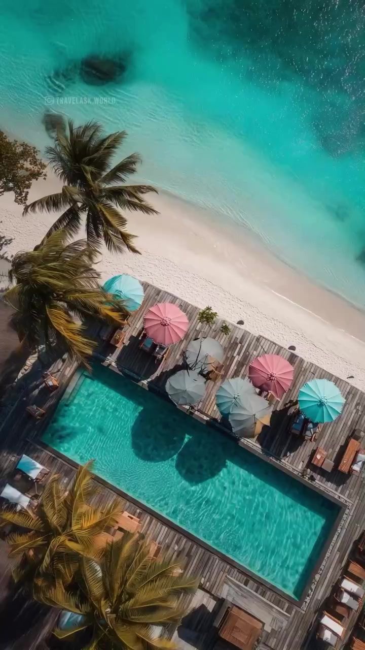 Dive into Luxury: Relaxing Poolside Views and Spa Escapes