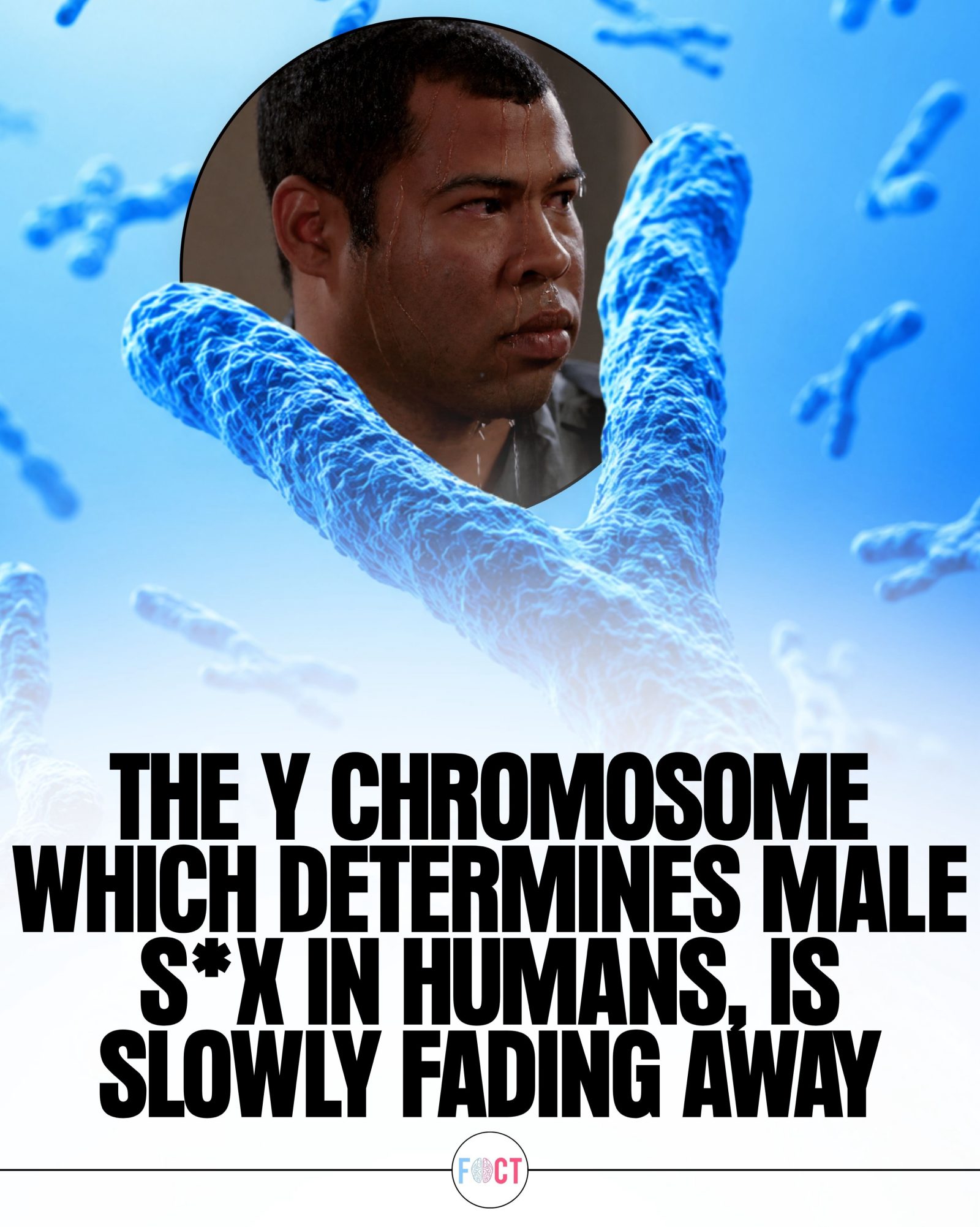 The Mystery of the Fading Y Chromosome