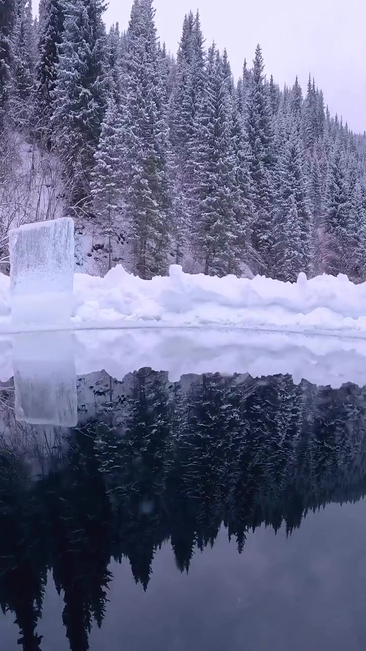 Underwater Fish in Lakes and Rivers