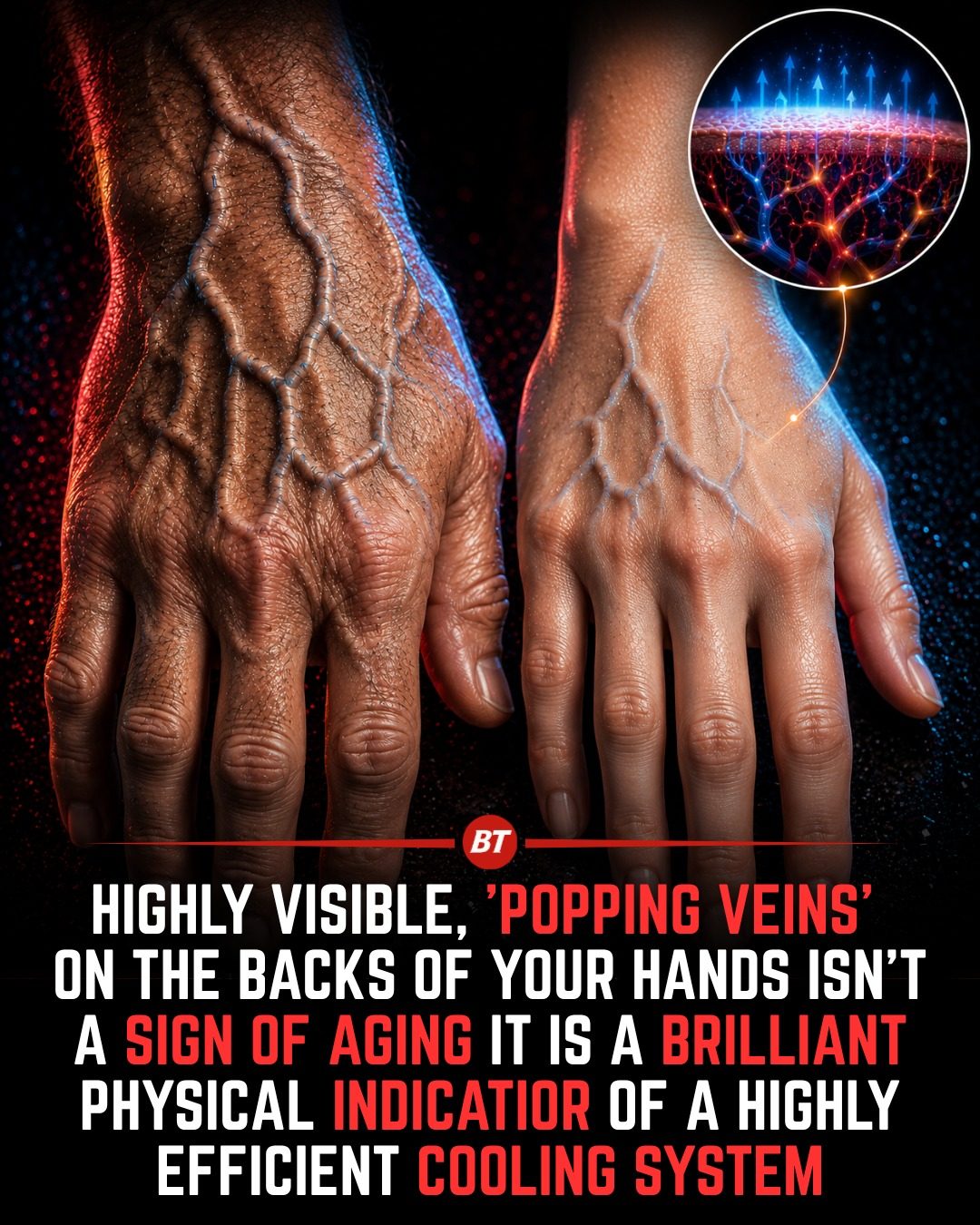 Popping Veins on Hands: A Sign of Efficient Cooling