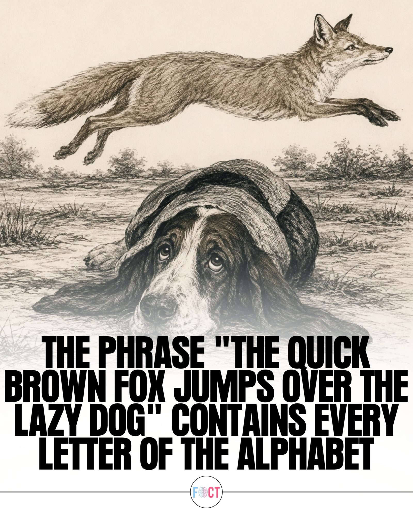 The Quick Brown Fox: Unveiling the Iconic Pangram