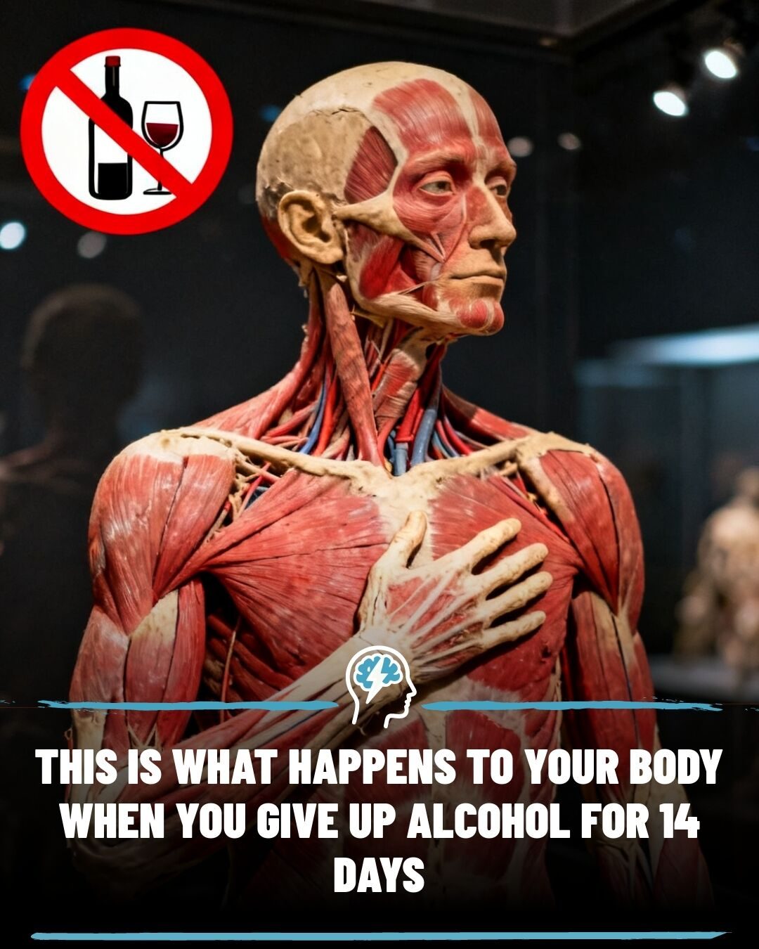 ### 14-Day Alcohol Abstinence: Benefits for Your Body and Liver