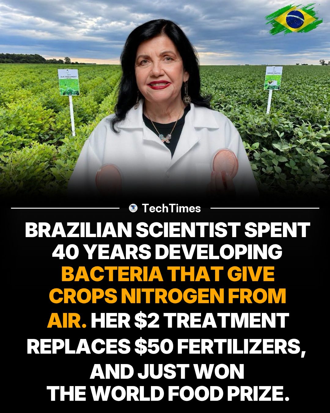 Brazilian Scientist's Nitrogen-Fixing Bacteria Revolution