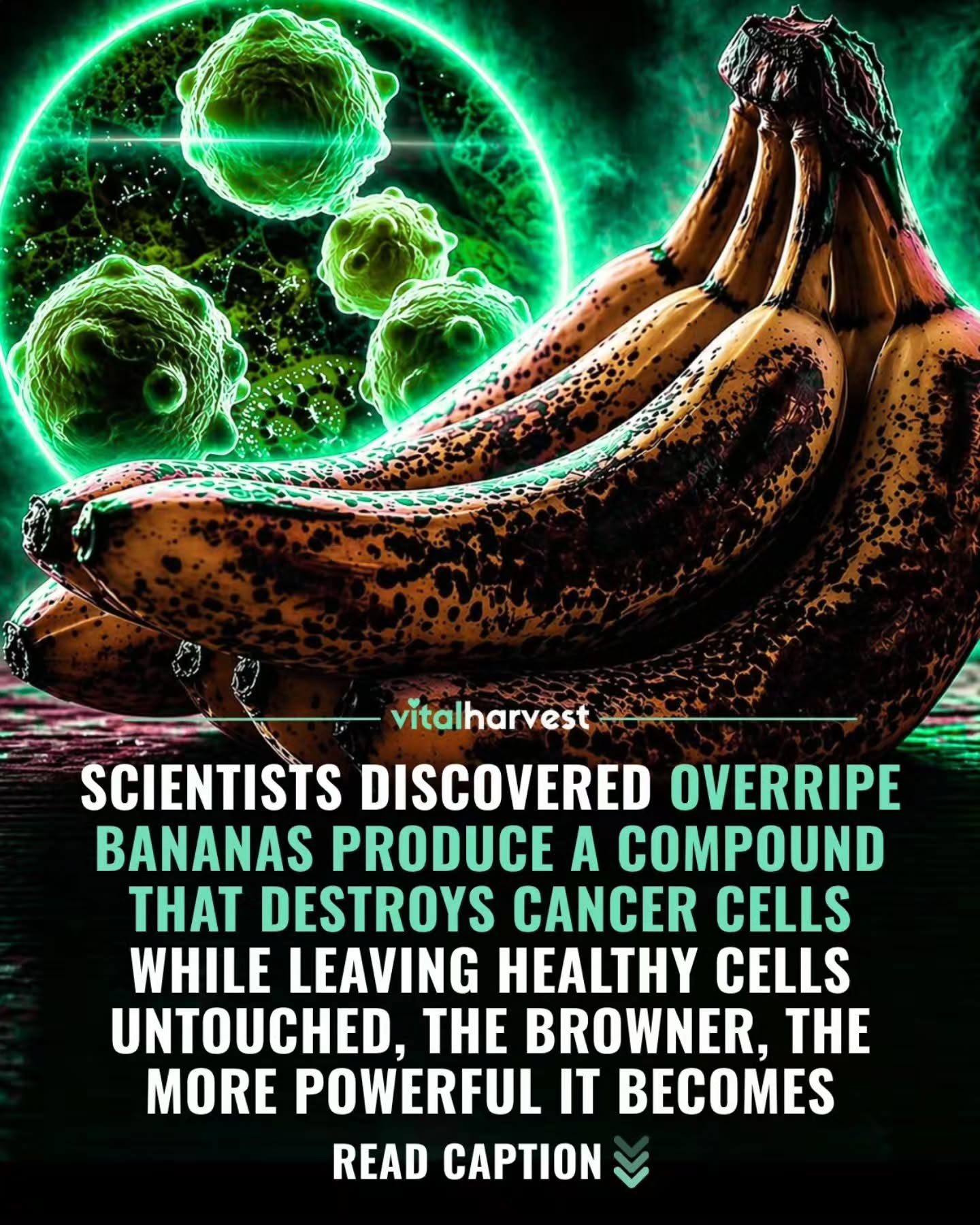 Debunking Overripe Bananas' Cancer-Fighting Claims