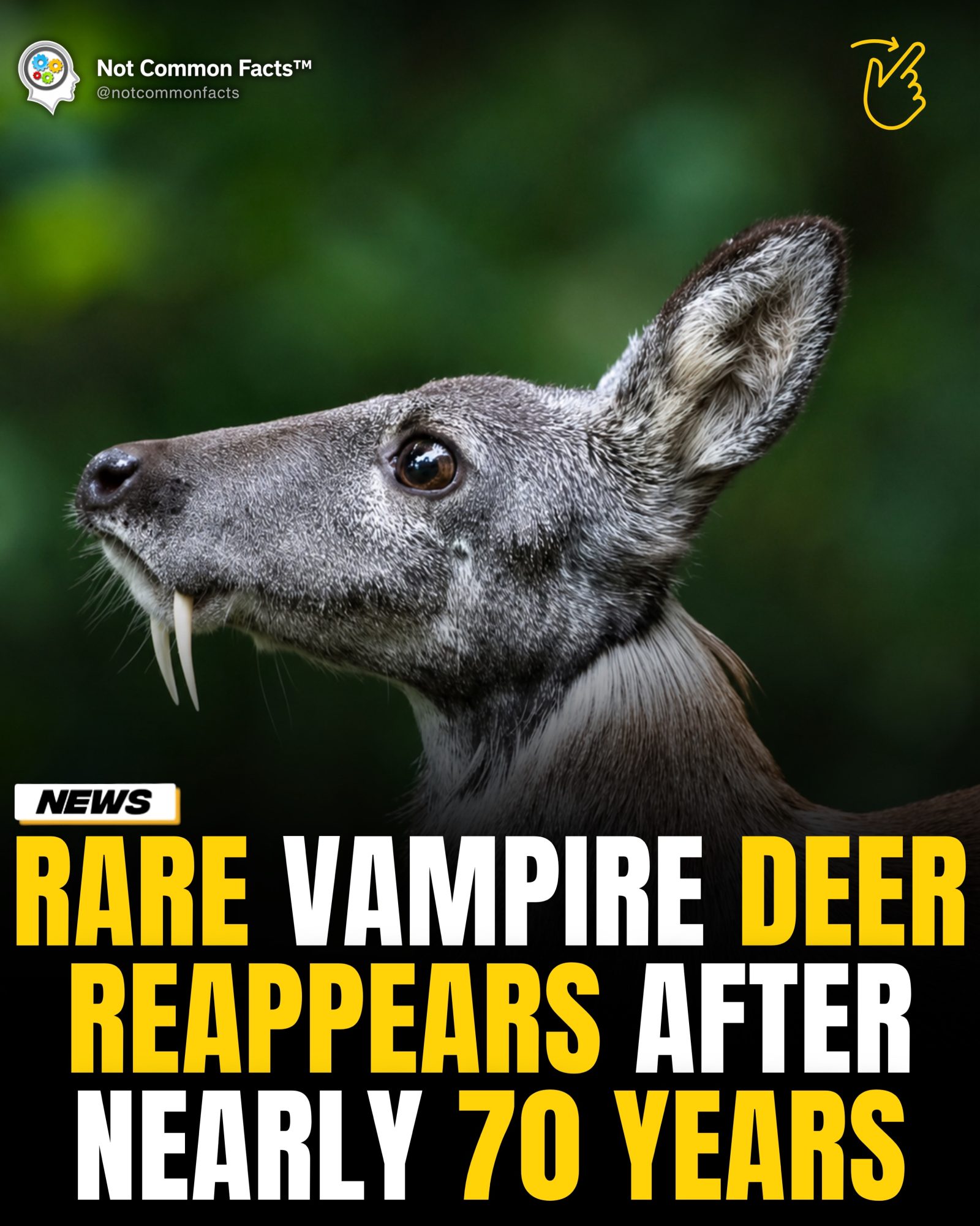 Vampire Deer Resurfaces After 70 Years