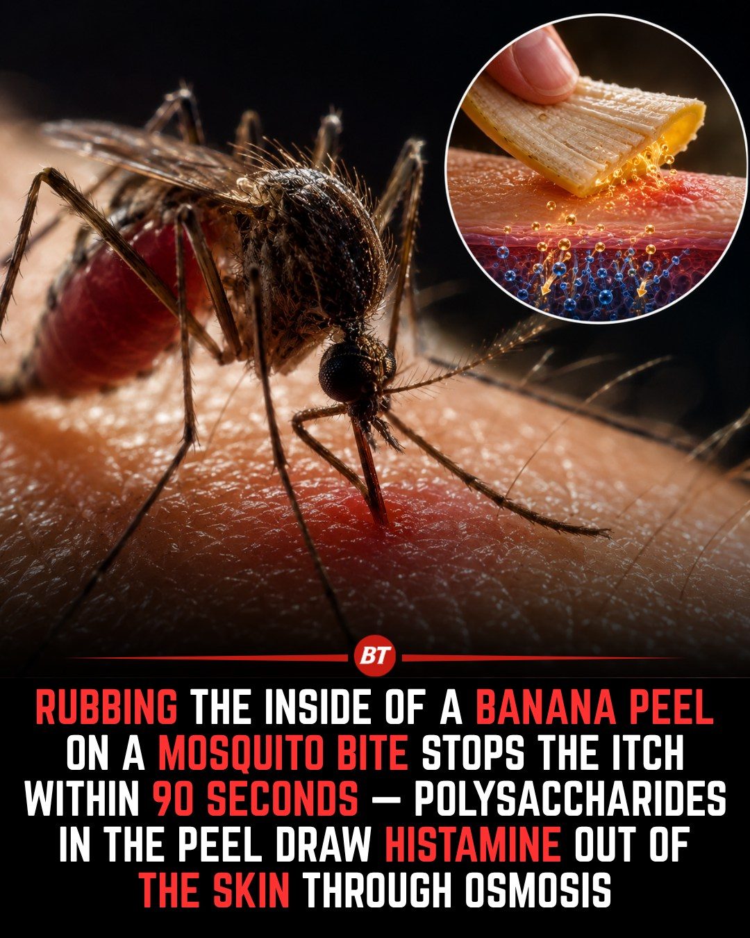 Banana Peels: Quick Mosquito Bite Relief