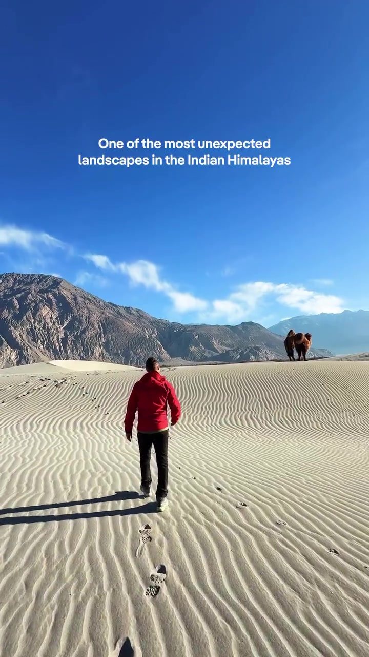 Exploring Nubra Valley's Unexpected Himalayan Landscapes